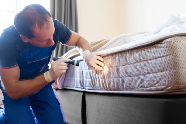 Best Bed Bug Extermination  in Siloam Springs, AR